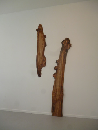 elm panels